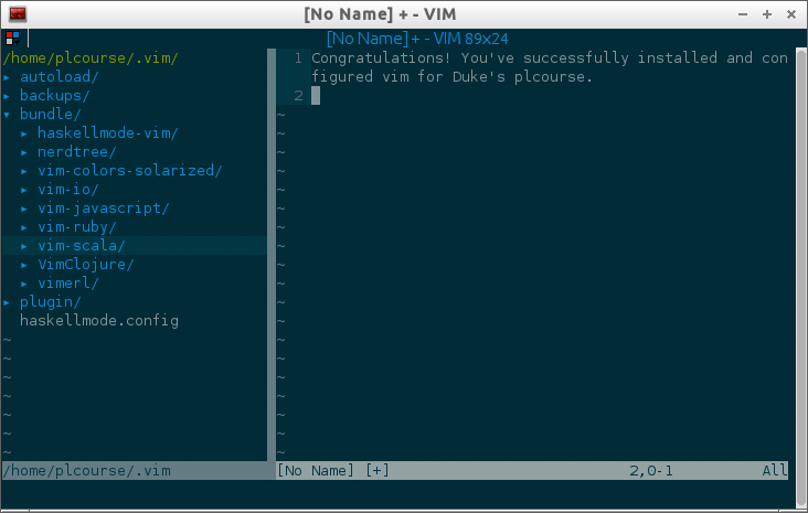 Configured Vim